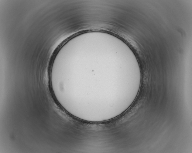 X0000113350936200910131236