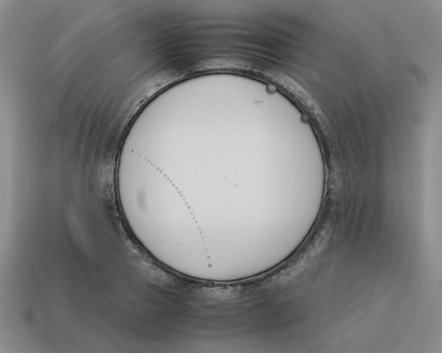 X0000113350937200910131237