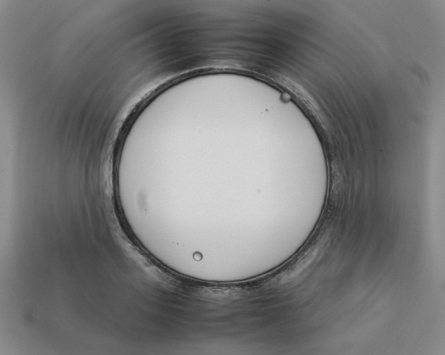 X0000113350939200910131237