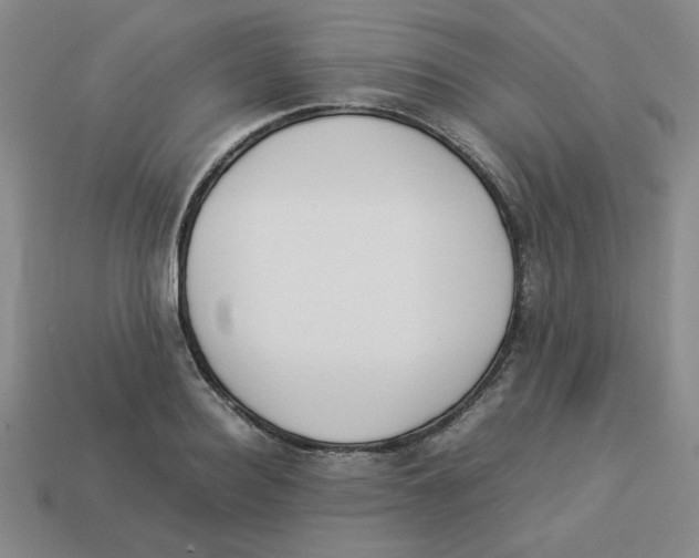 X0000113350940200910131237