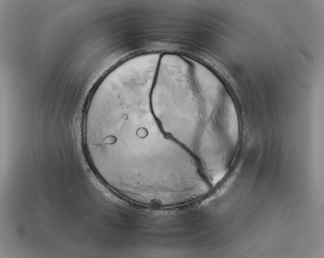 X0000113350941200910131237