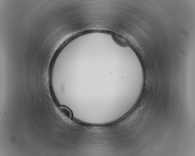 X0000113350942200910131237