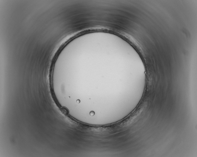 X0000113350943200910131237