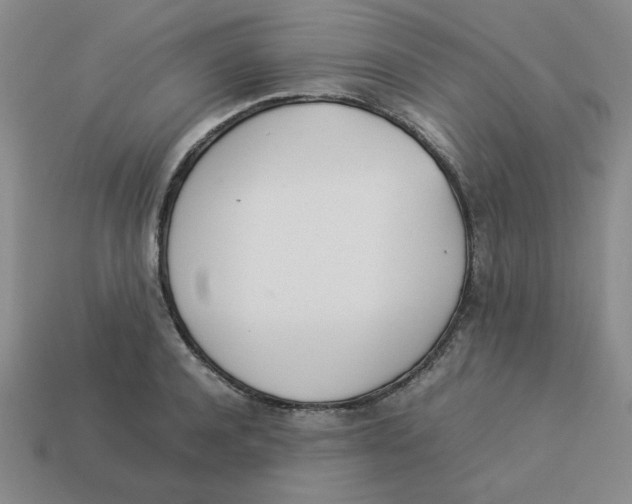 X0000113350944200910131237