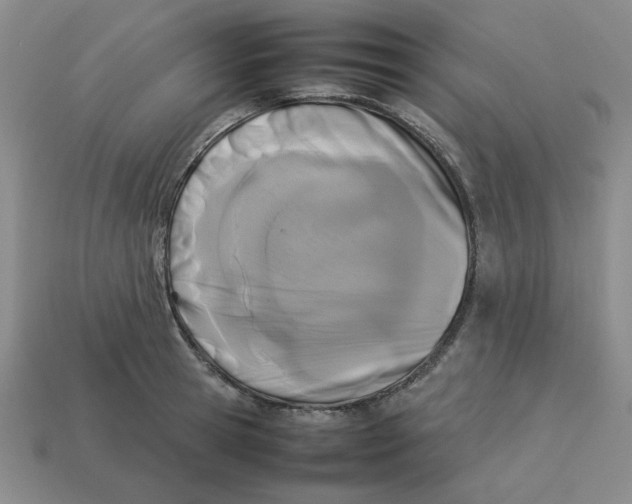 X0000113350945200910131237