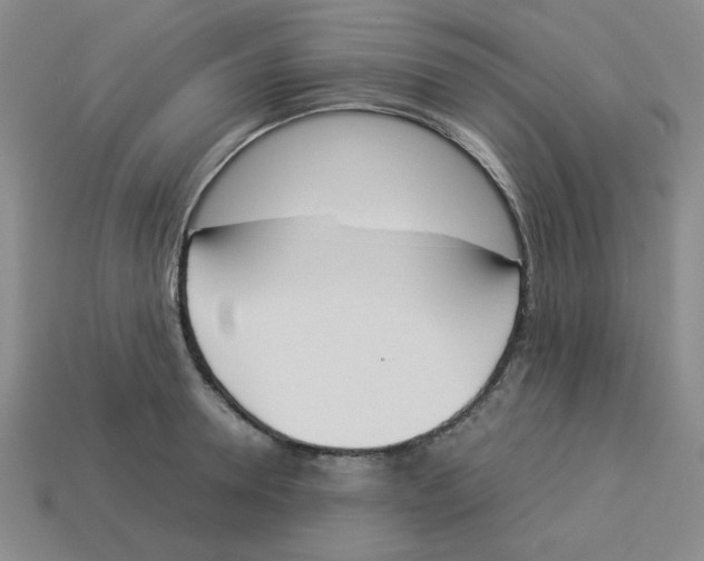 X0000113350946200910131237