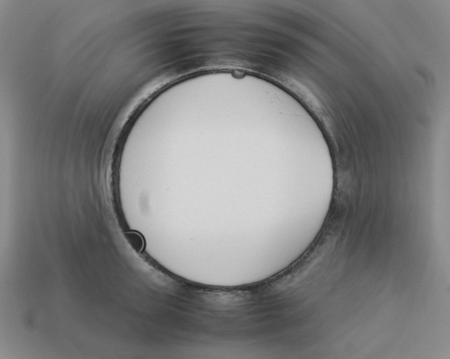 X0000113350947200910131237