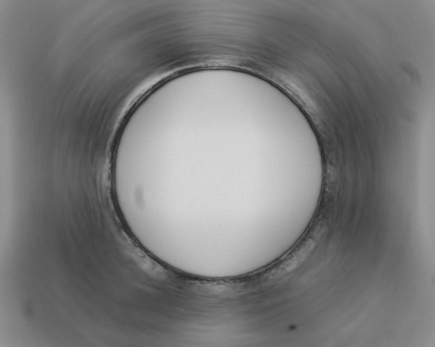 X0000113350948200910131237