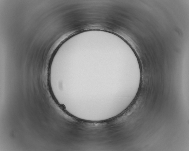 X0000113350949200910131237