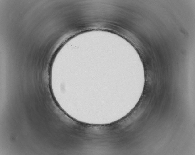 X0000113350950200910131237