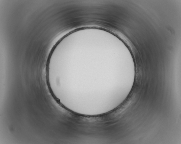 X0000113350951200910131237