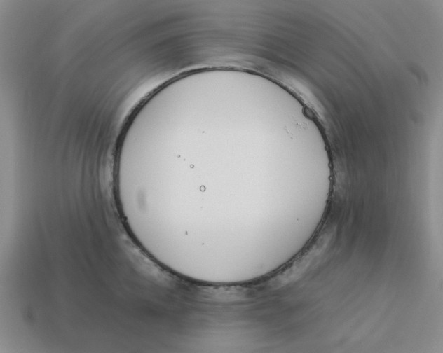 X0000113350952200910131237