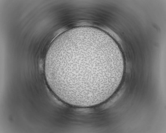 X0000113350953200910131237