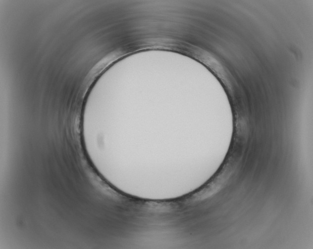 X0000113350954200910131237