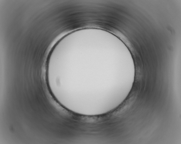 X0000113350955200910131237