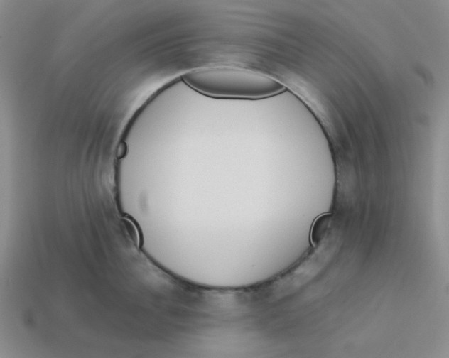 X0000113350956200910131237