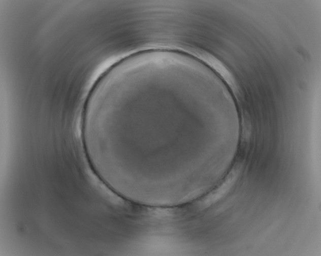 X0000113350958200910131237