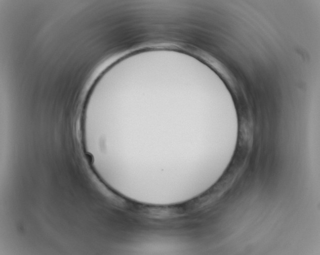 X0000113350959200910131237