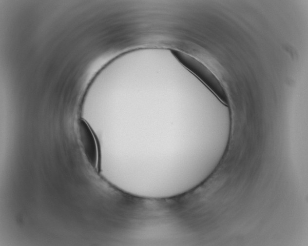 X0000113350960200910131237