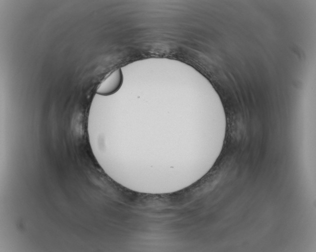 X0000113350962200910131236