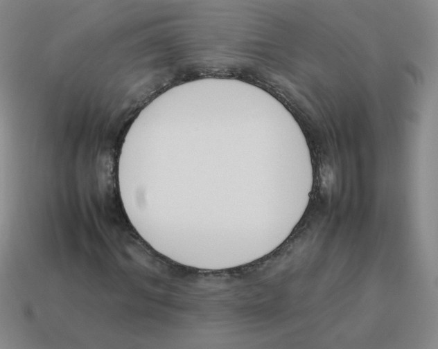 X0000113350964200910131236