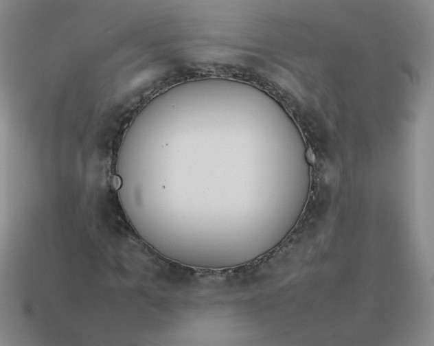 X0000113350965200910131236