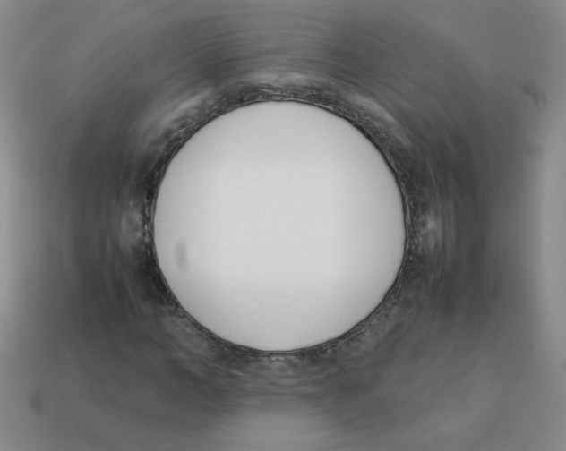 X0000113350966200910131236