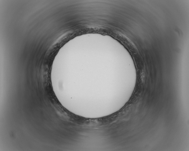 X0000113350968200910131236