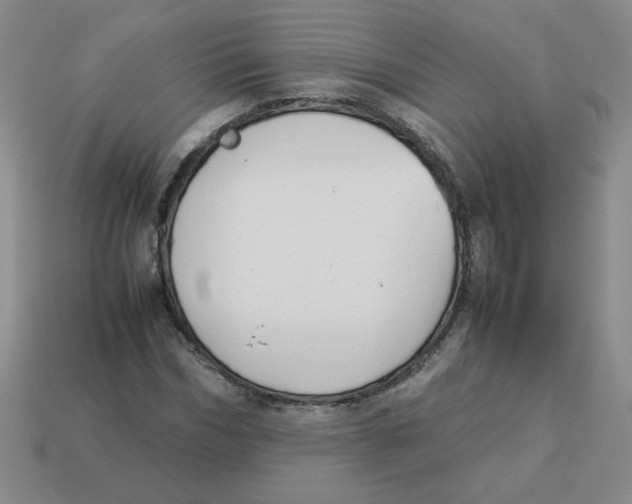 X0000113350970200910131236