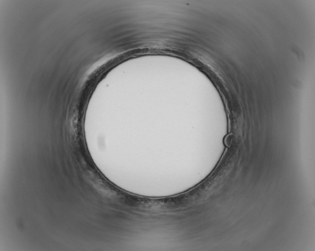 X0000113350971200910131236