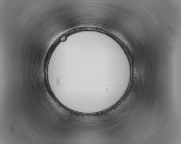 X0000113350972200910131236