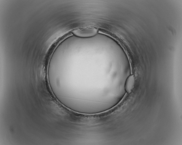 X0000113350973200910131236