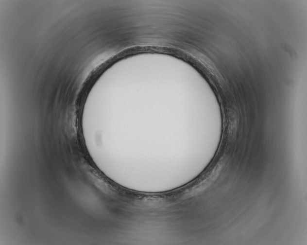 X0000113350974200910131236