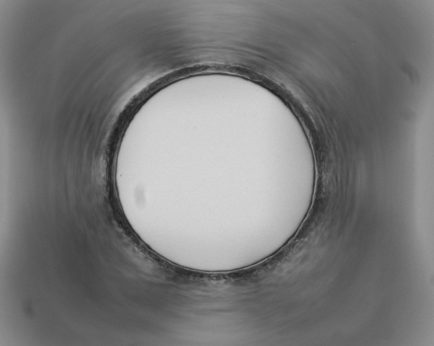 X0000113350975200910131236