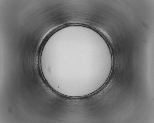 X0000113350976200910131236