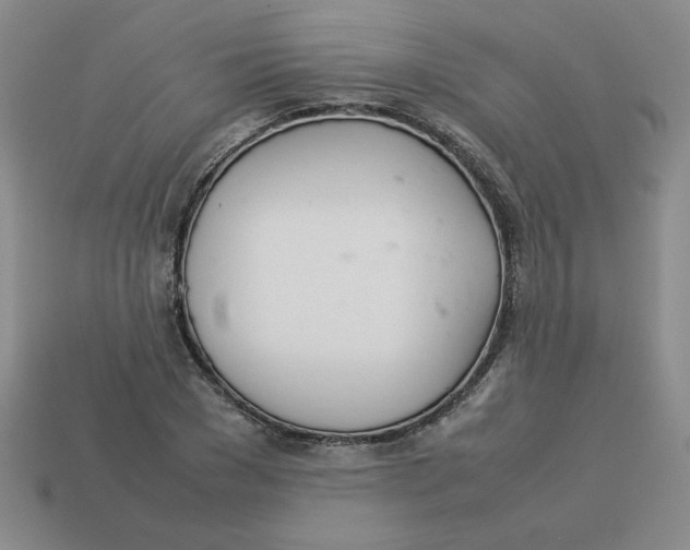 X0000113350977200910131236