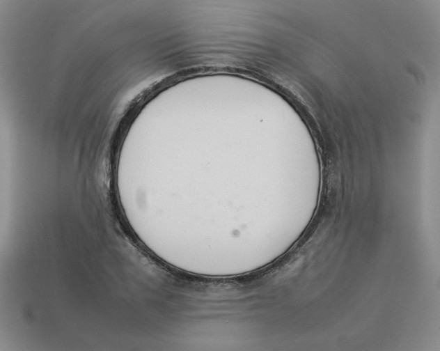 X0000113350979200910131236