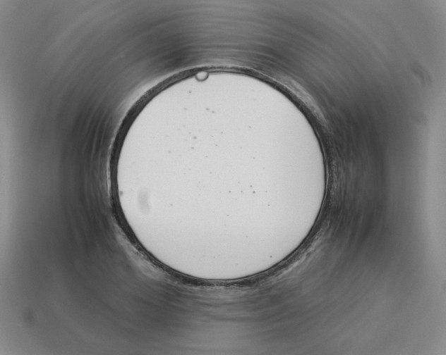 X0000113350980200910131236