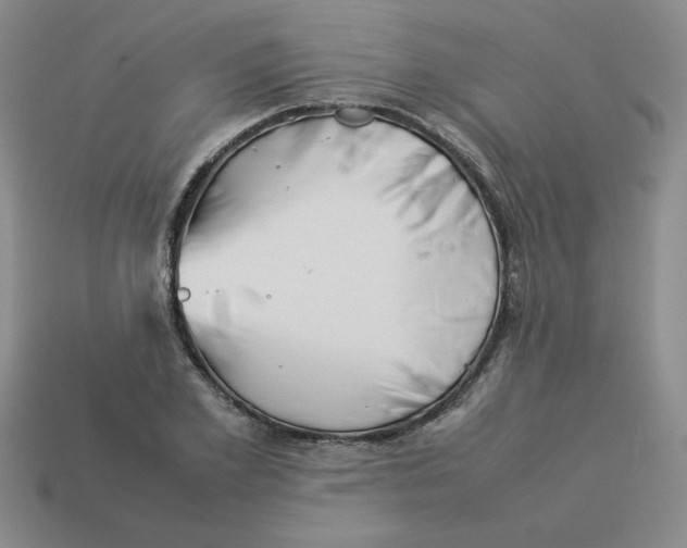 X0000113350981200910131236