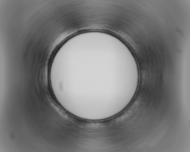 X0000113350982200910131236