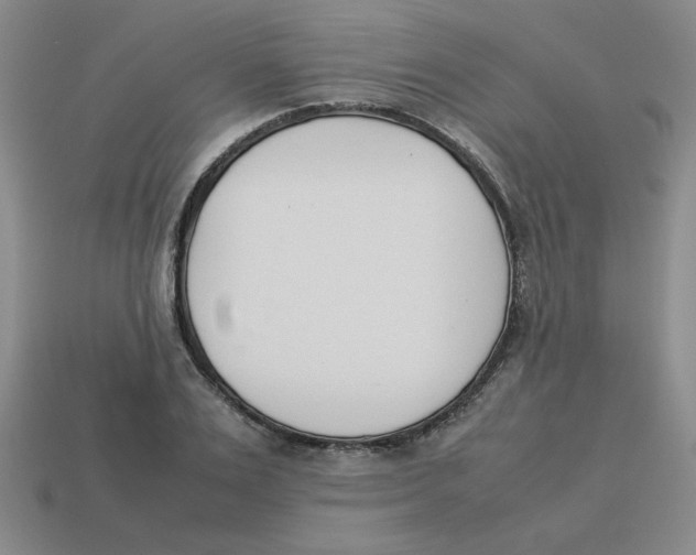 X0000113350983200910131236