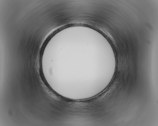 X0000113350984200910131236