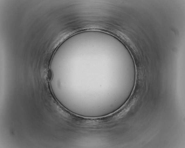 X0000113350985200910131236