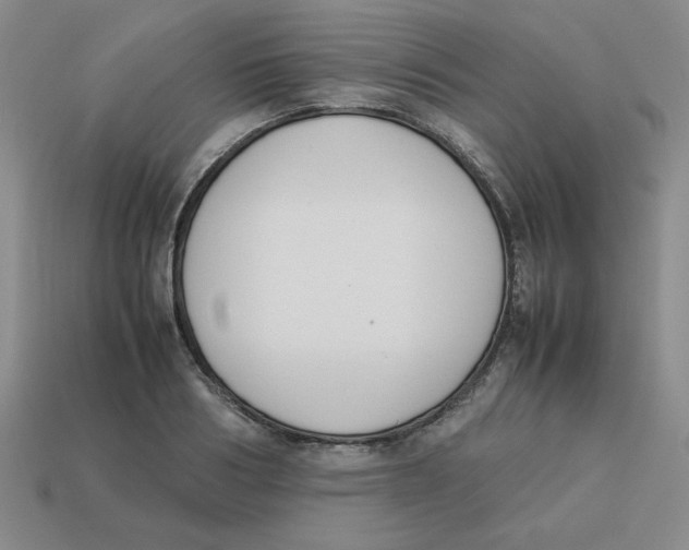 X0000113350986200910131236