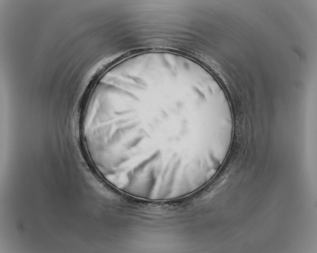 X0000113350987200910131236