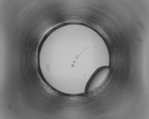 X0000113350988200910131236