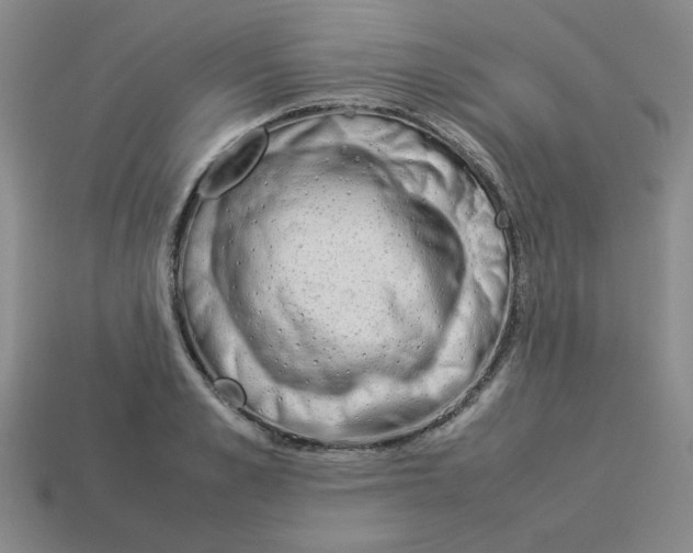 X0000113350989200910131236