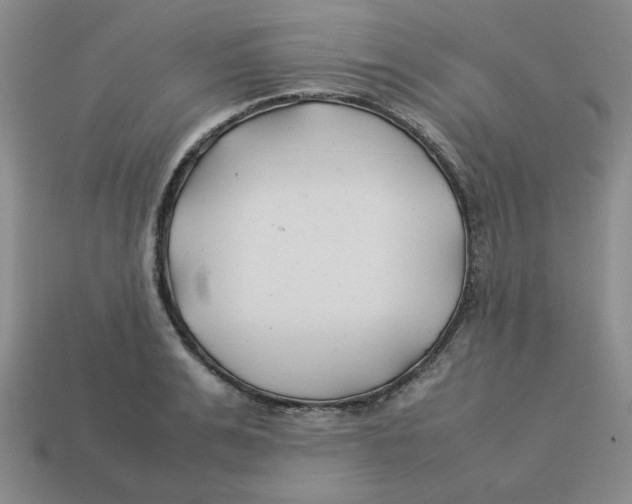 X0000113350991200910131236