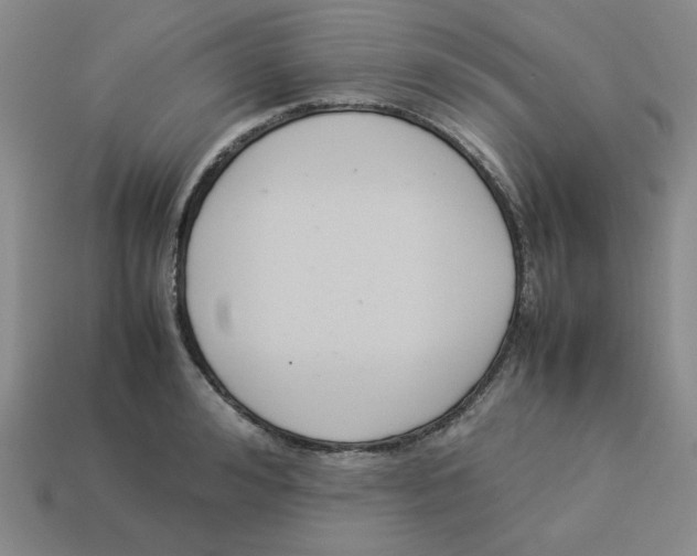 X0000113350992200910131236