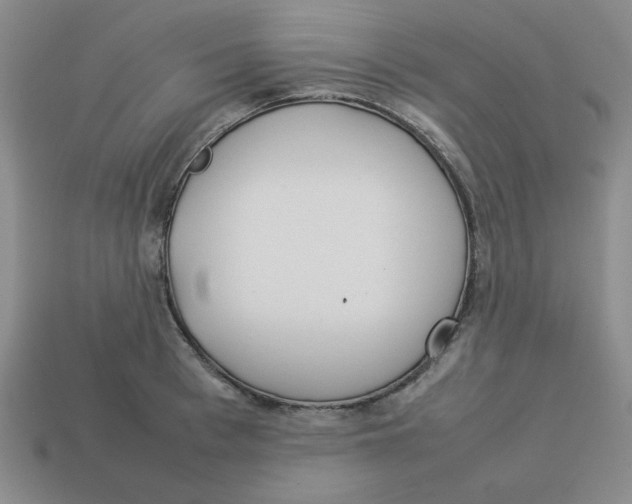 X0000113350993200910131236